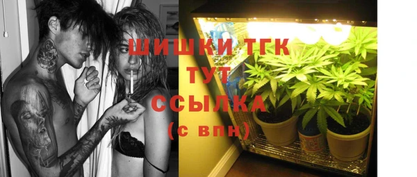 spice Няндома