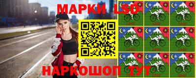 крисы Гусев
