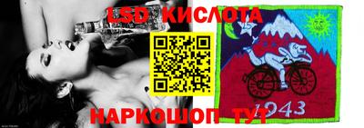 крисы Гусев