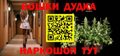 крисы Гусев