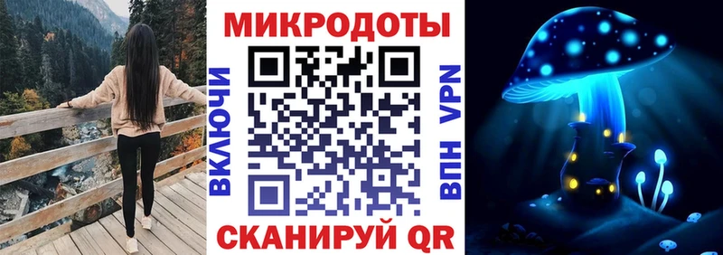 omg вход  Северобайкальск  Галлюциногенные грибы мицелий 