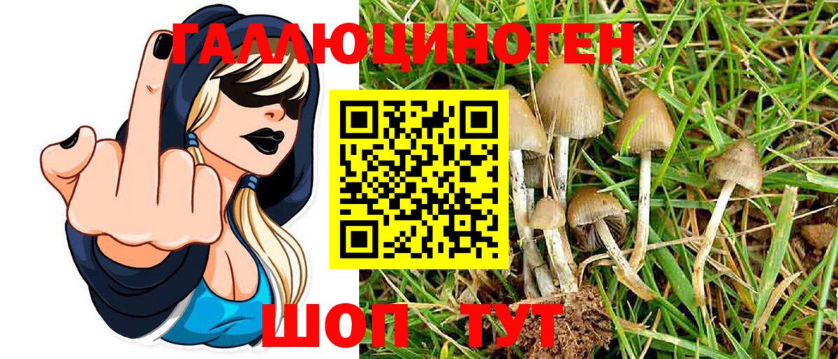 Псилоцибиновые грибы MAGIC MUSHROOMS Северобайкальск