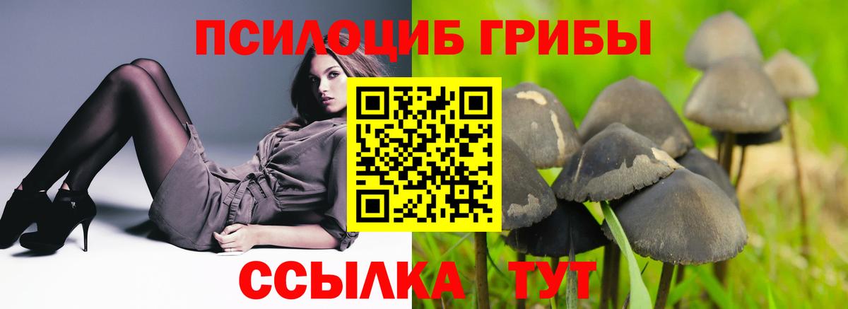 Северобайкальск  Галлюциногенные грибы Magic Shrooms  Вход с VPN 