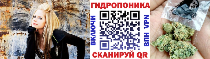 Бошки Шишки сатива Северобайкальск